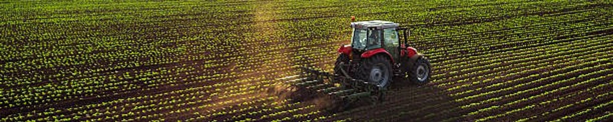 Cover for Daniel L. Walker Sr.'s Obituary