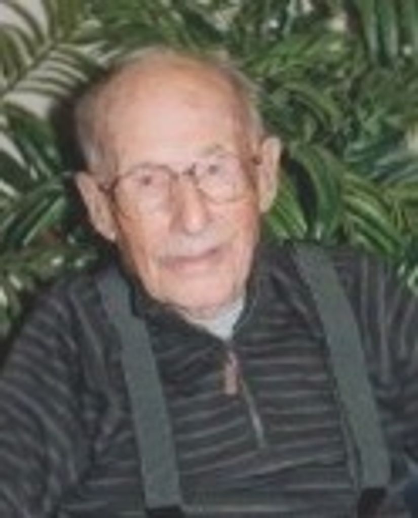 Raymond J. Braidich