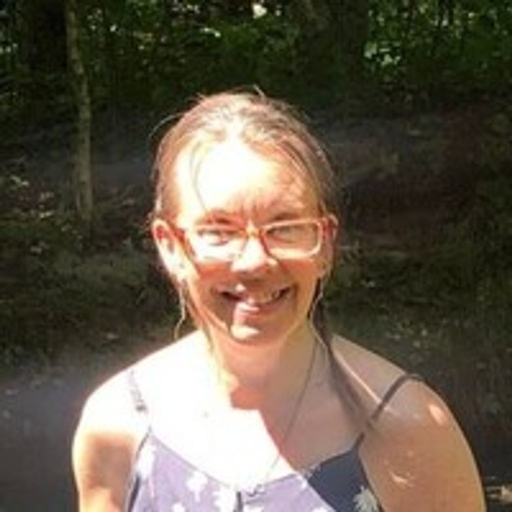 Lisa A. Hanninen