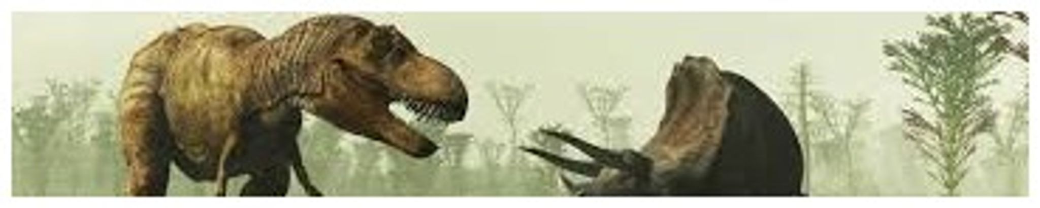 Cover for Joshua Martinez's Obituary