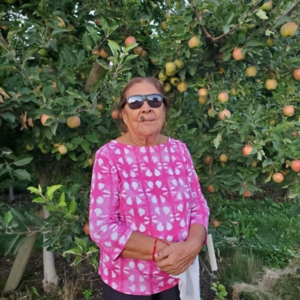 Contanza Sanchez Anguiano Profile Photo