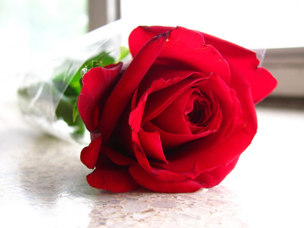 Edna K. (Mccloskey)  Apker