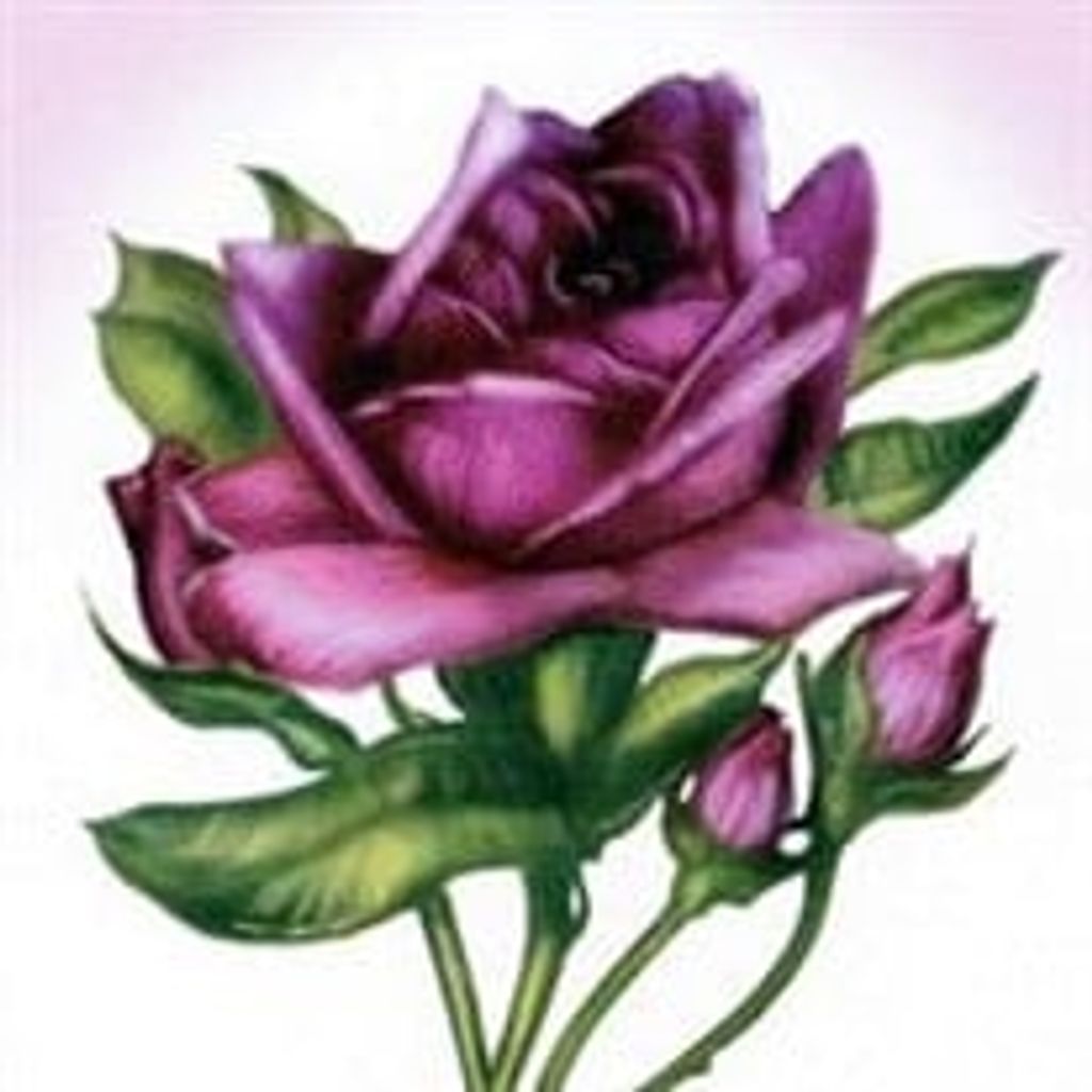 Roberta Cansie Stover