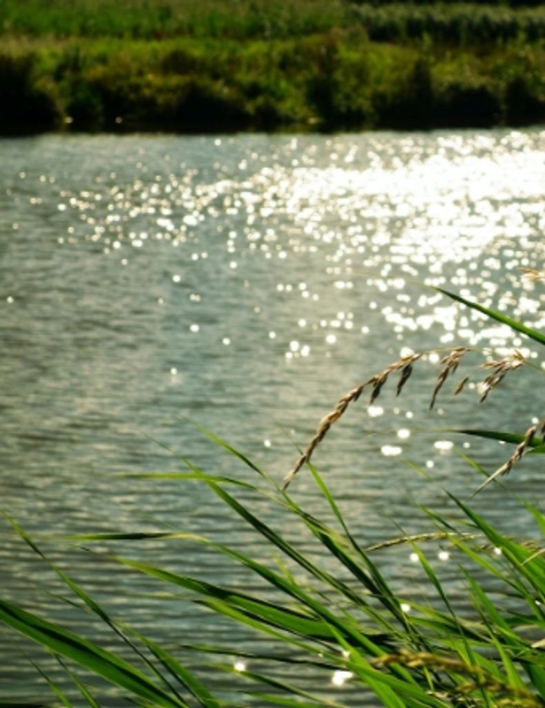 Thomas Glenn Carmichael