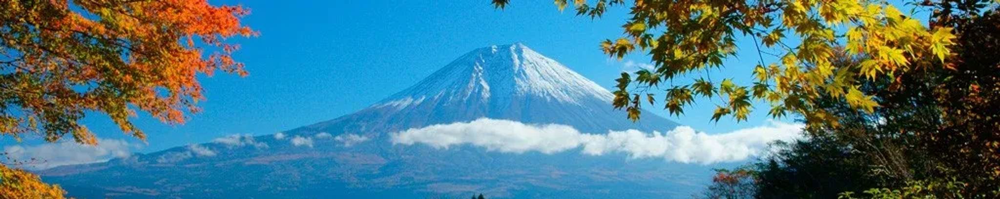 Cover for Takeko Kato Morales's Obituary