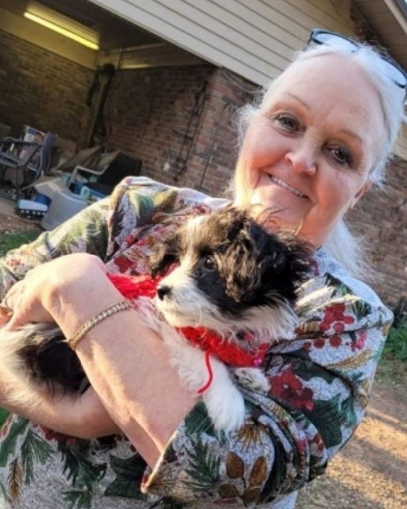 Diana Lynne Stroud
