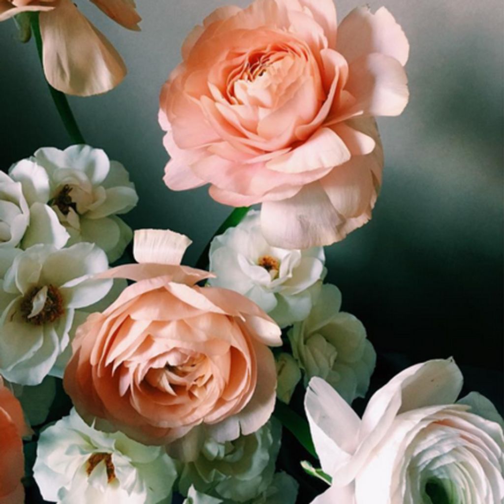 Lois A. Linster Profile Photo