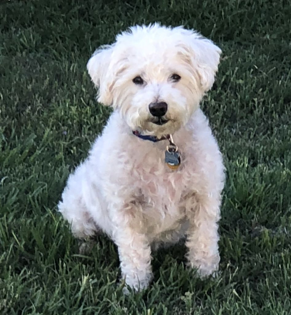Rio Profile Photo