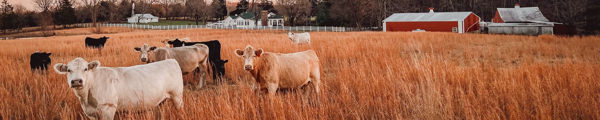 Cover for Lessel Verlin Mosier's Obituary