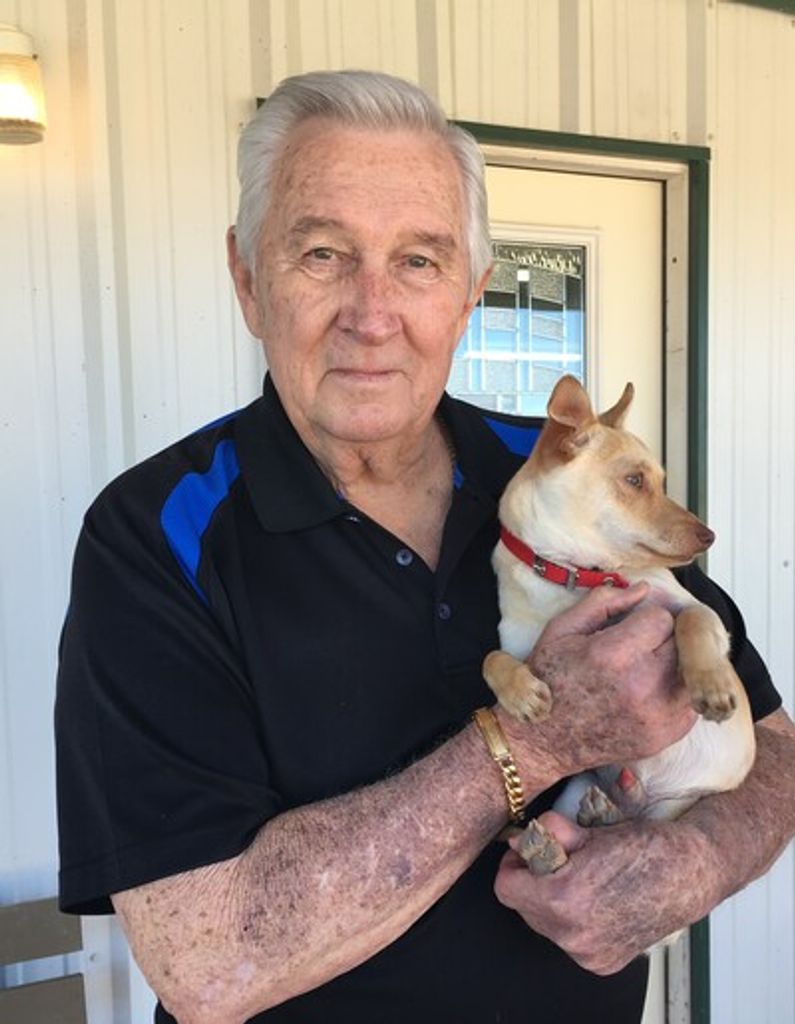 Thomas Dayton Chapman