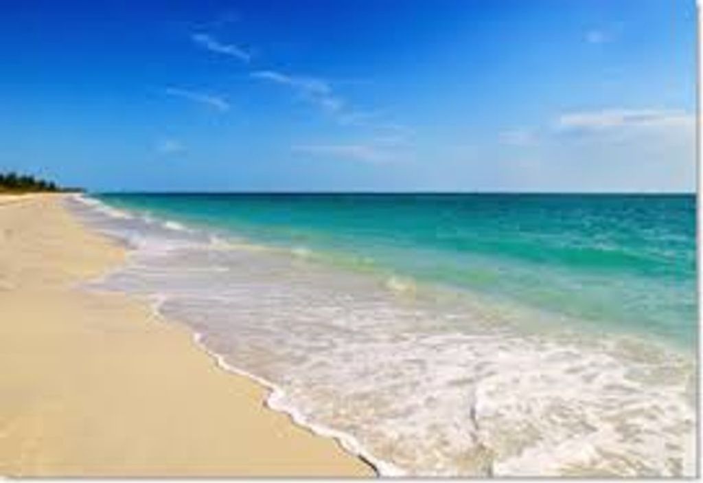 Amy Smith-Scott Profile Photo