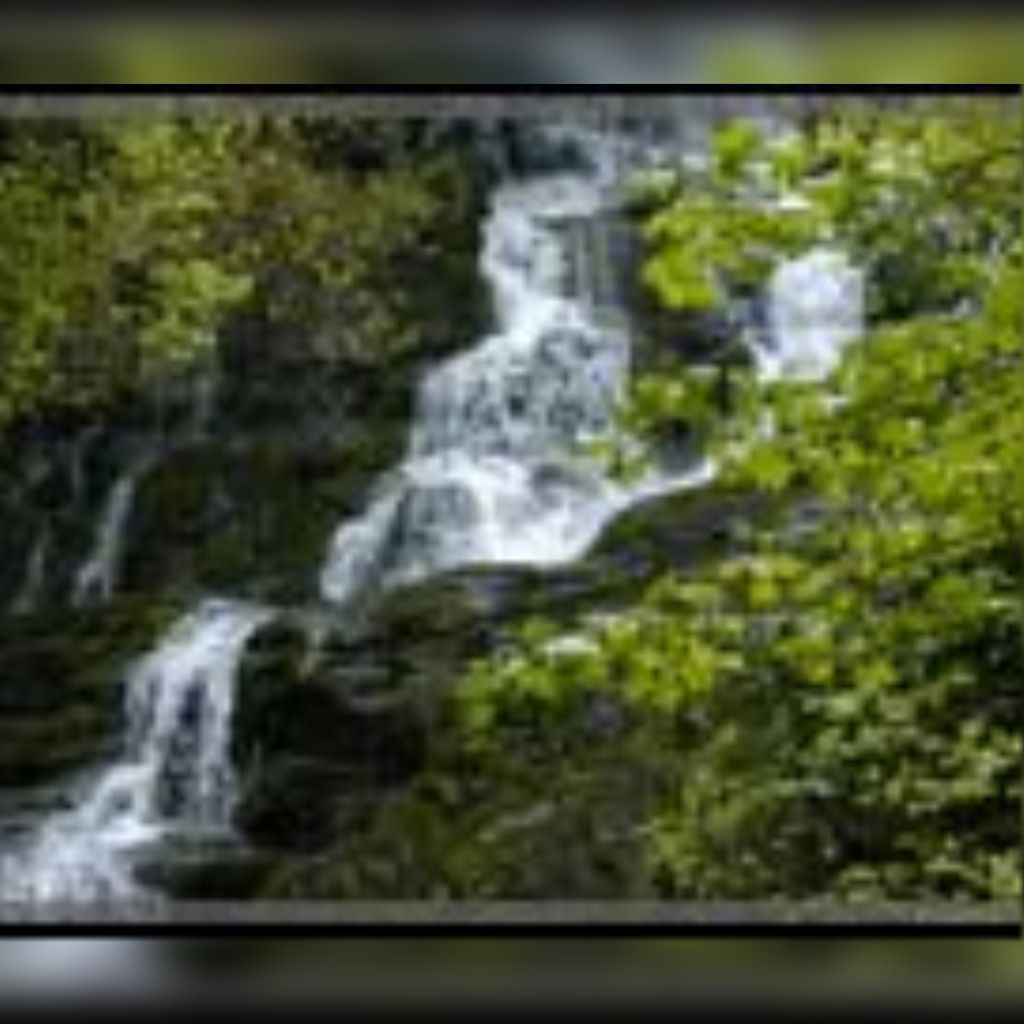 Paul Nelson Schultz Profile Photo