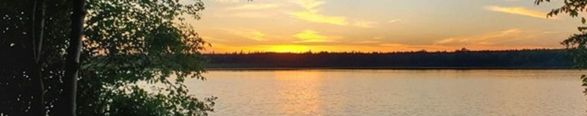 Cover for Donna Jeanne Selves's Obituary