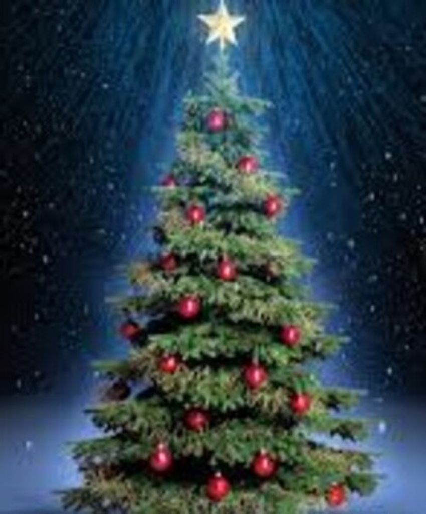 2019 Christmas Tribute Video