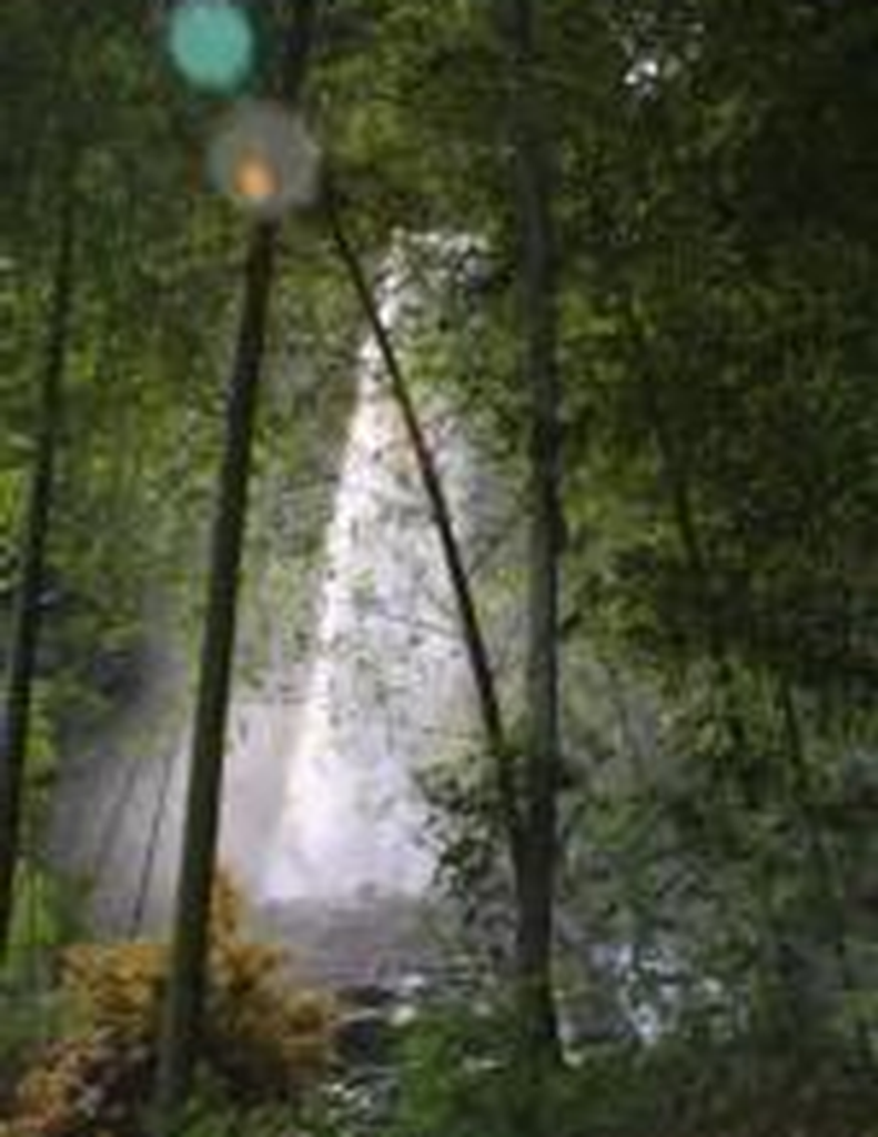 Eleanor Katherine Kersch Gray