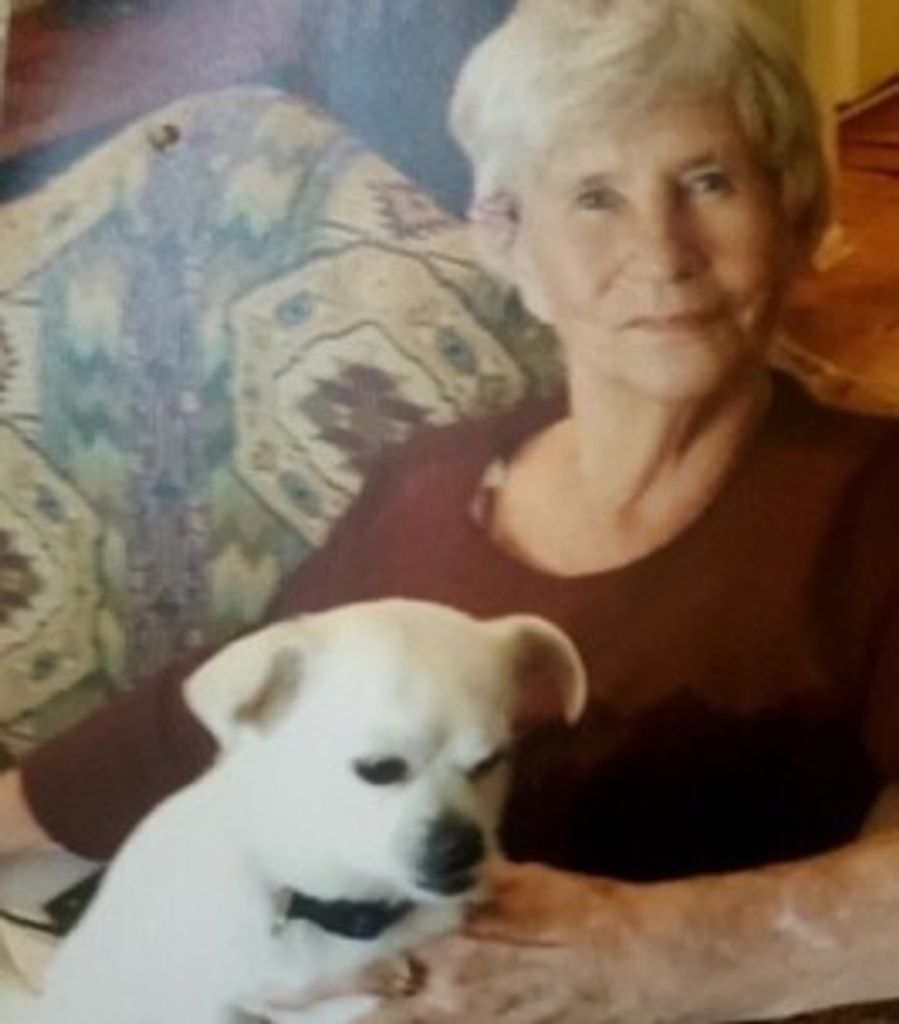 Ann Southworth Profile Photo