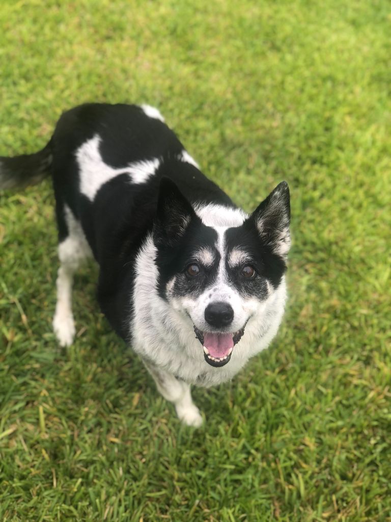 Annie Profile Photo
