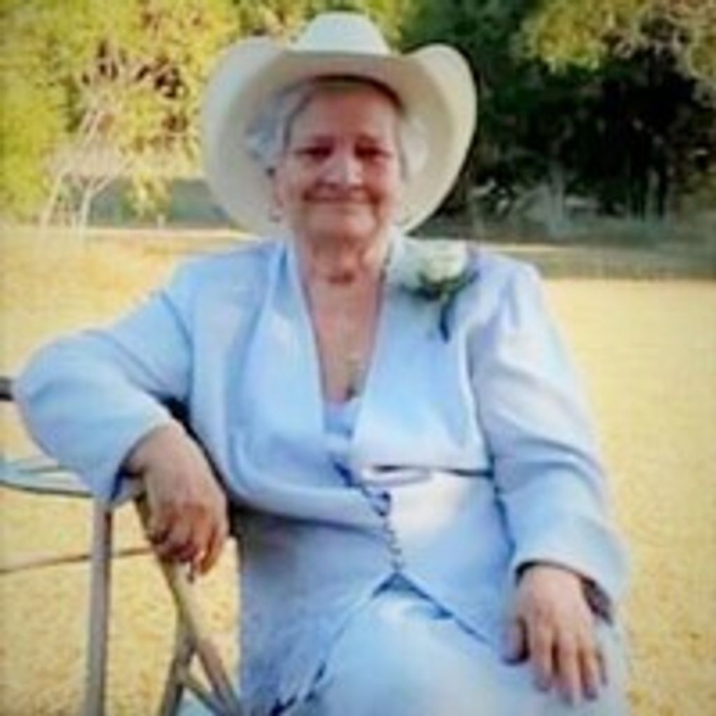 Joyce Ann Hopkins