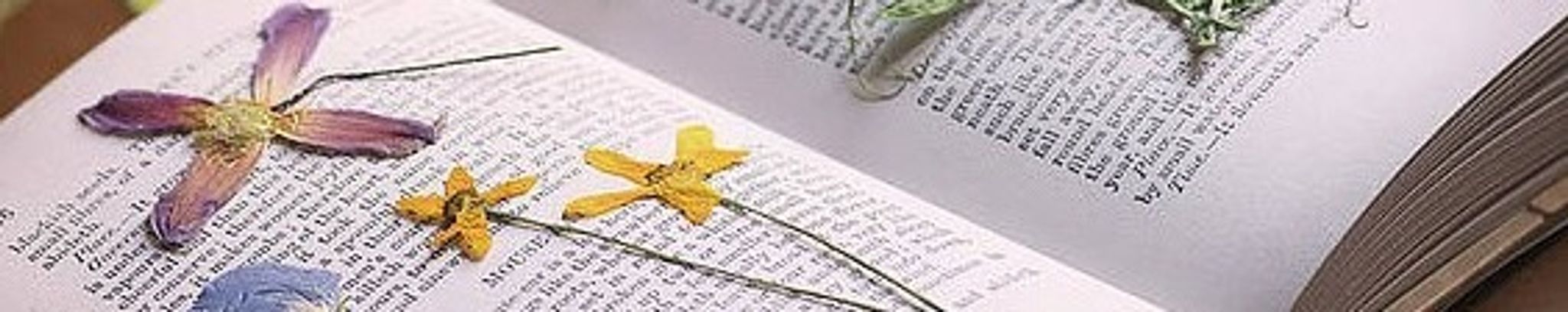 Cover photo for Carrie Jean Legus's Obituary