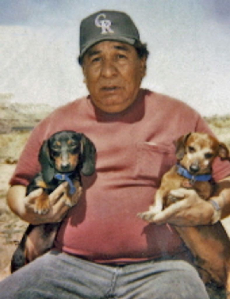 Bruce Daniel Lehi
