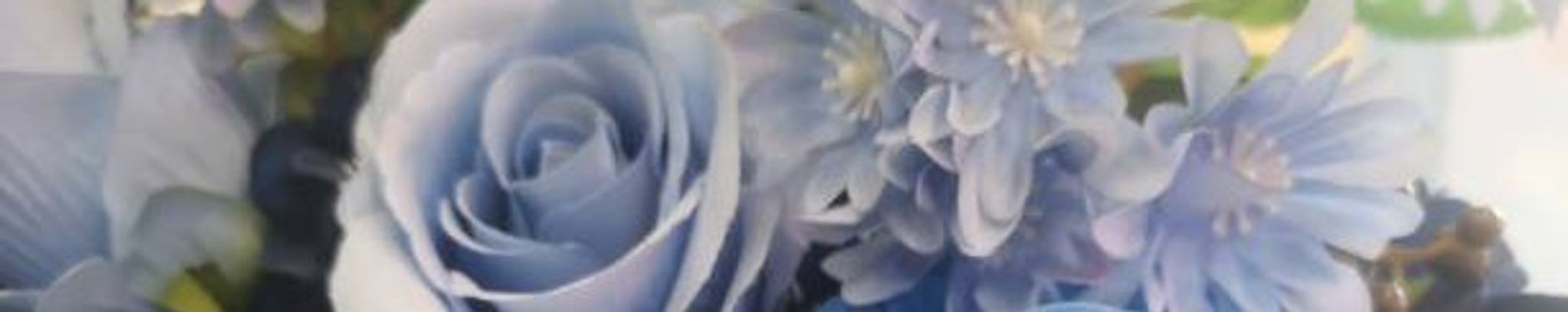 Cover for Kimberly D. Lewis's Obituary