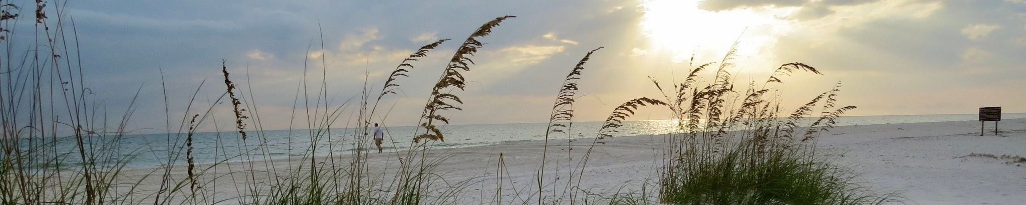 Cover for Ruth M. McDonald's Obituary