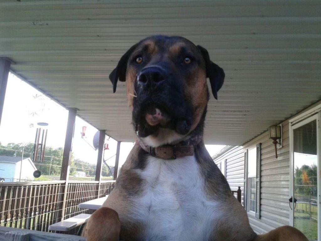 Bubba Jr Parrish Profile Photo