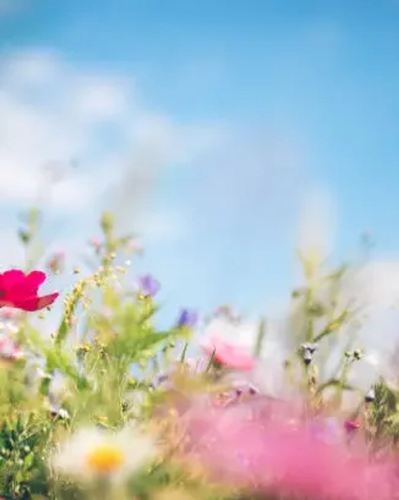 Maria Magdalena Silvas