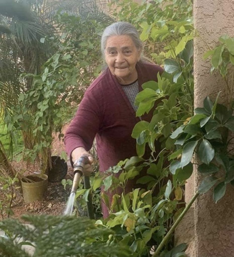 Soledad Rivas-Magallanes Profile Photo