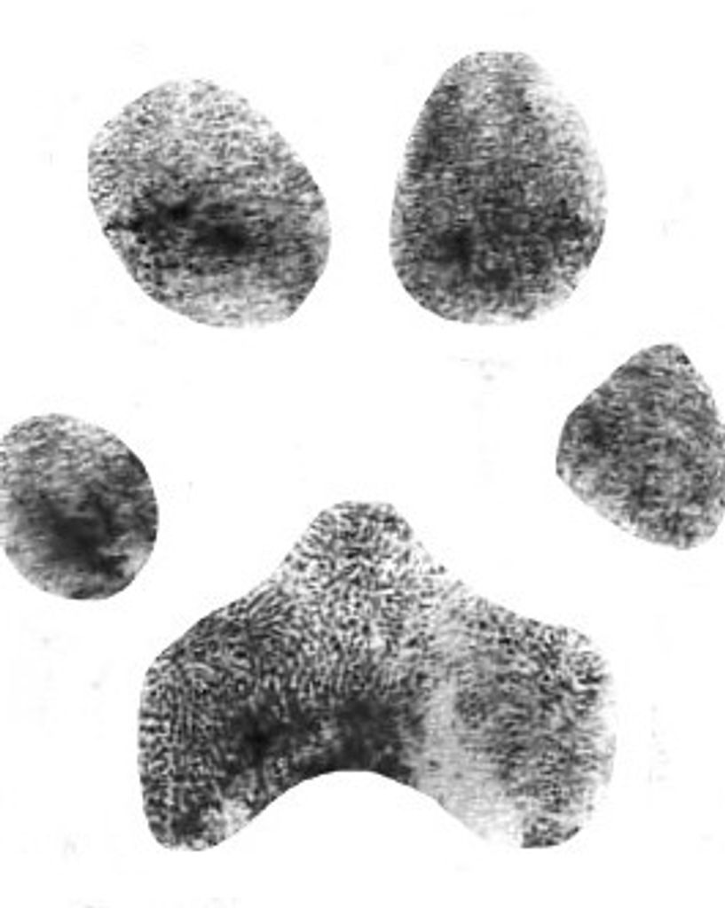 Hazel Keever Profile Photo