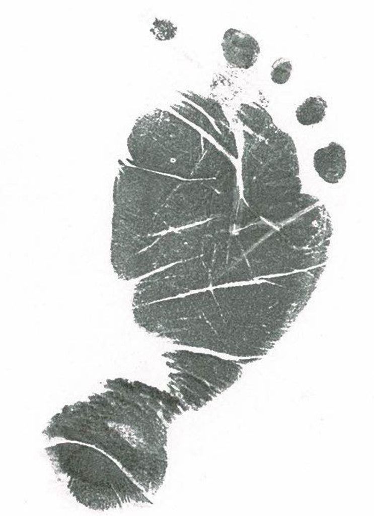 Ava Lee Phelps