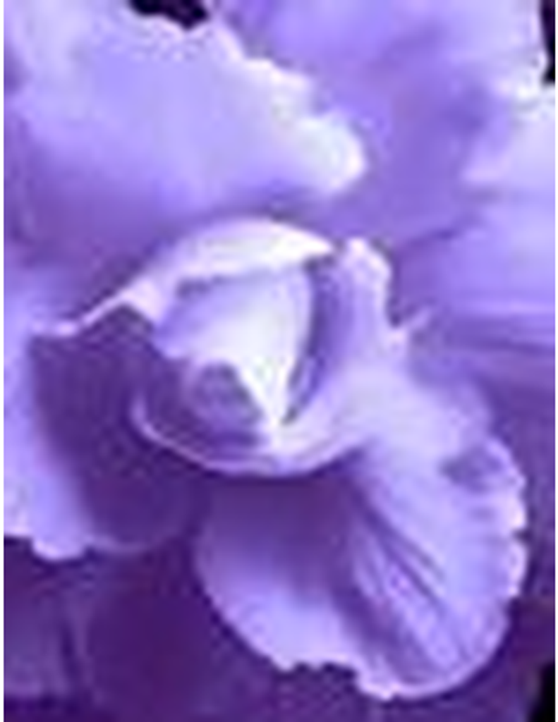 Ethel Bessie Virginia (Redding) Wright