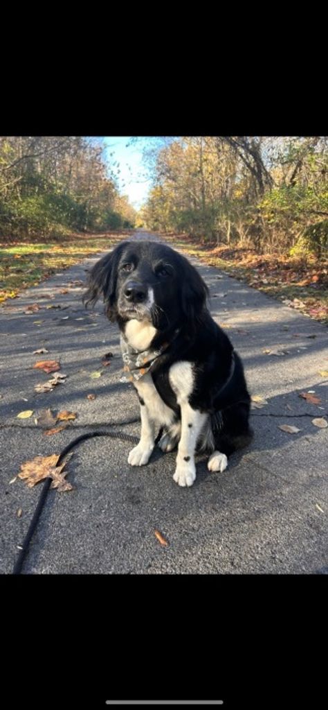 Sampson “Sammy” Lindsay