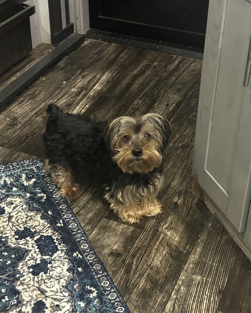 Stella Daddario Profile Photo