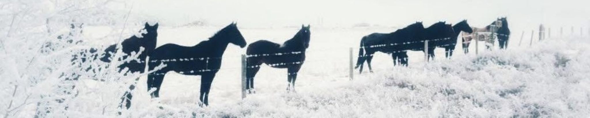 Cover photo for Holly Rae Keyko's Obituary