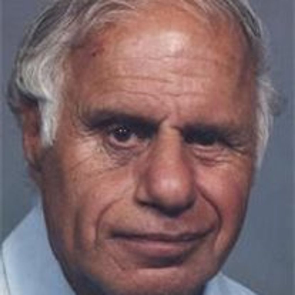 Peter J Atter
