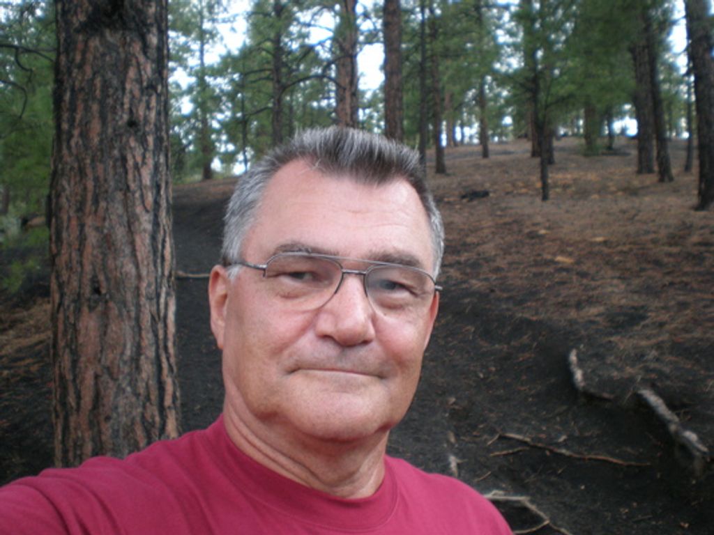 Carl J. Lamonica Sr. Profile Photo