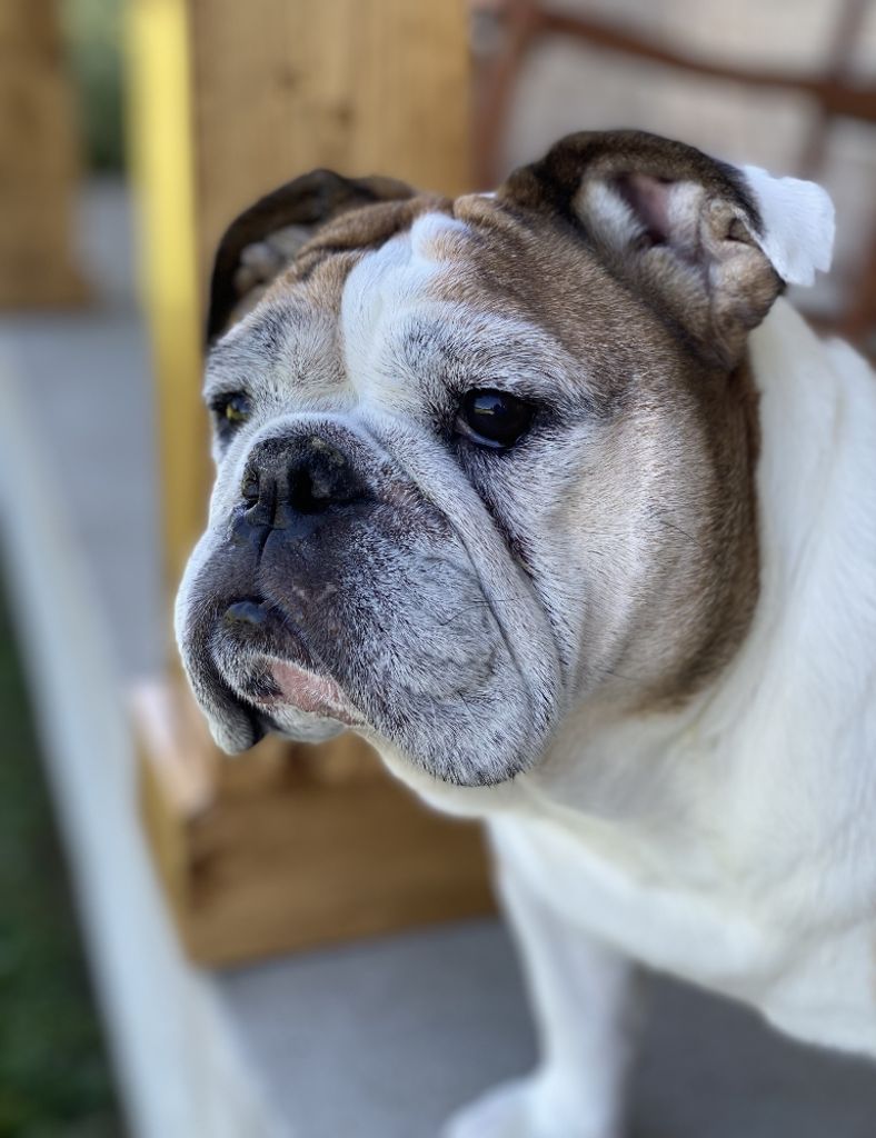 Scout Bealonis Profile Photo