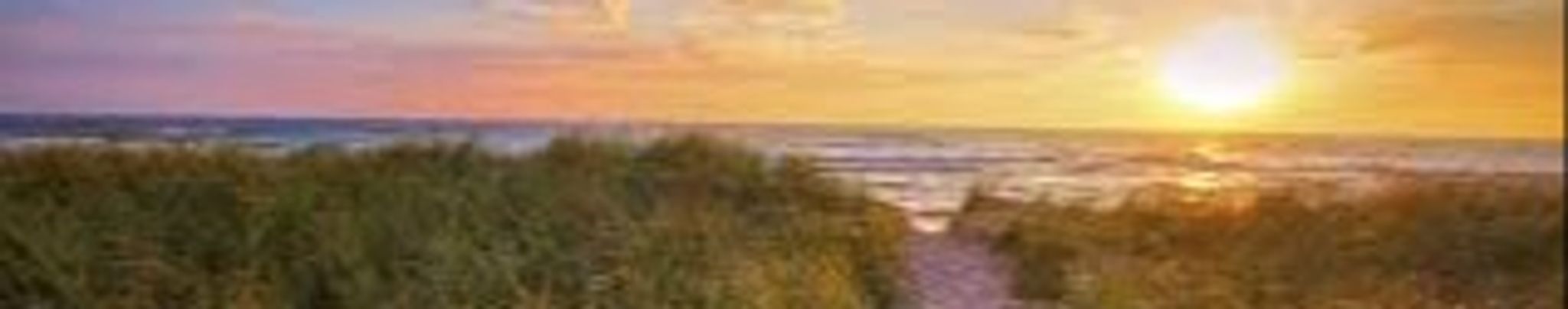 Cover for Thomas J. Davis's Obituary