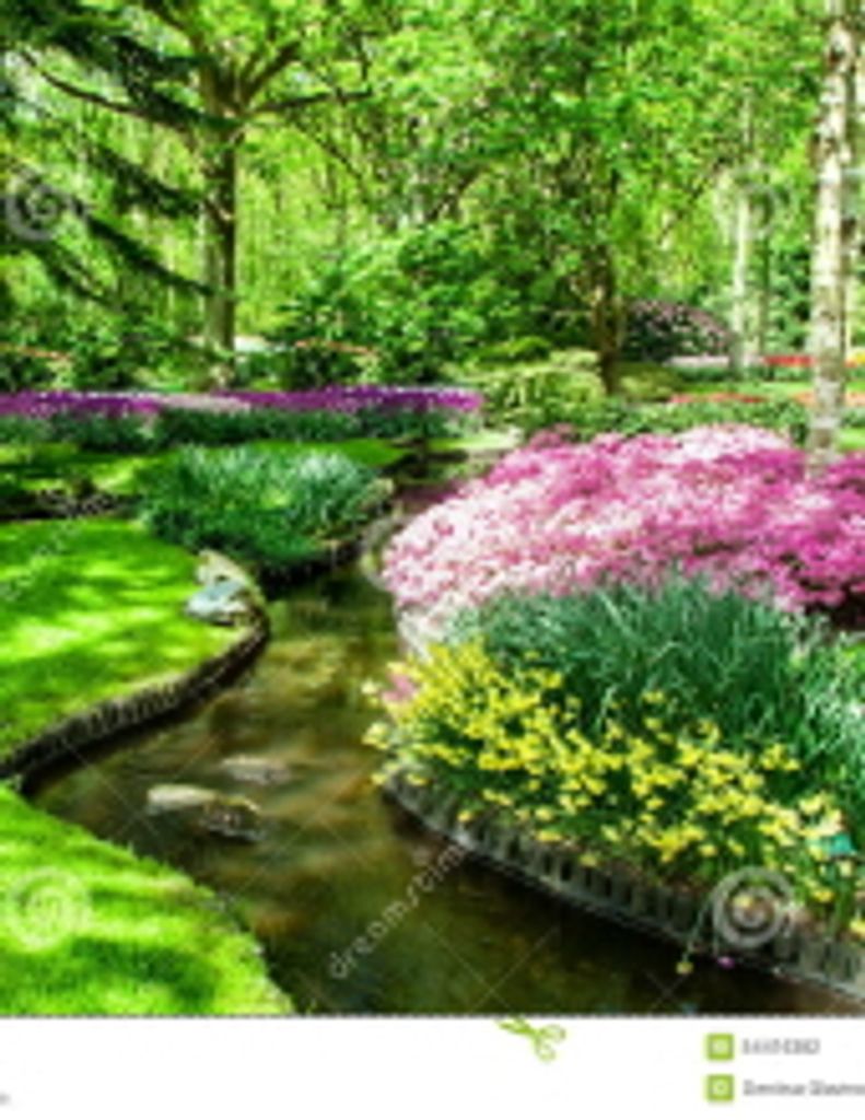 Luanne Mcintyre Taylor