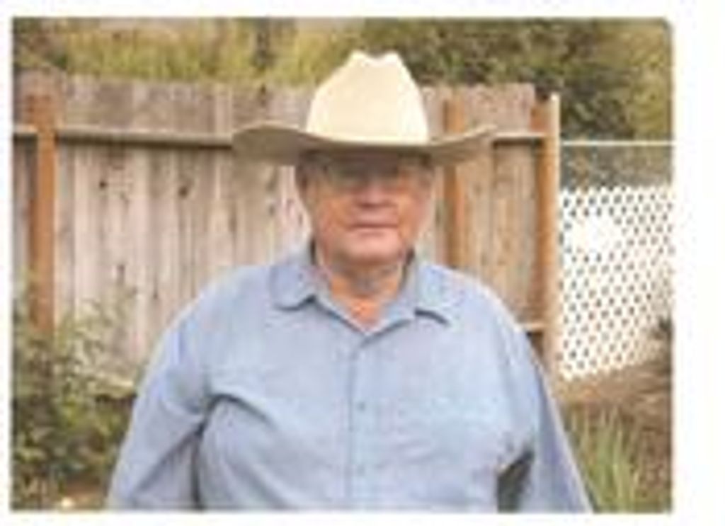 David T Caddy Profile Photo