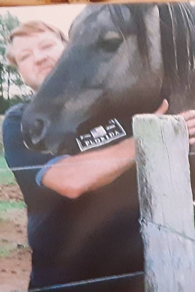 Kevin Kirkpatrick Profile Photo