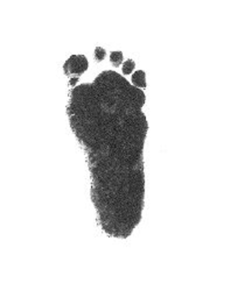 Theo  Edward John Van Goethem Profile Photo