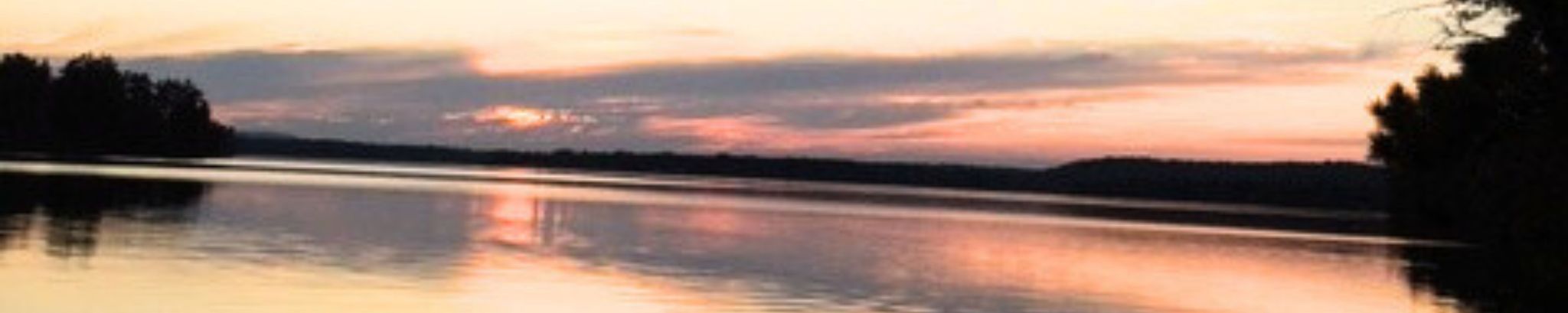 Cover photo for Jodie Zwart's Obituary