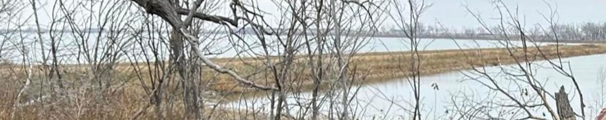 Cover for Troy Koster's Obituary