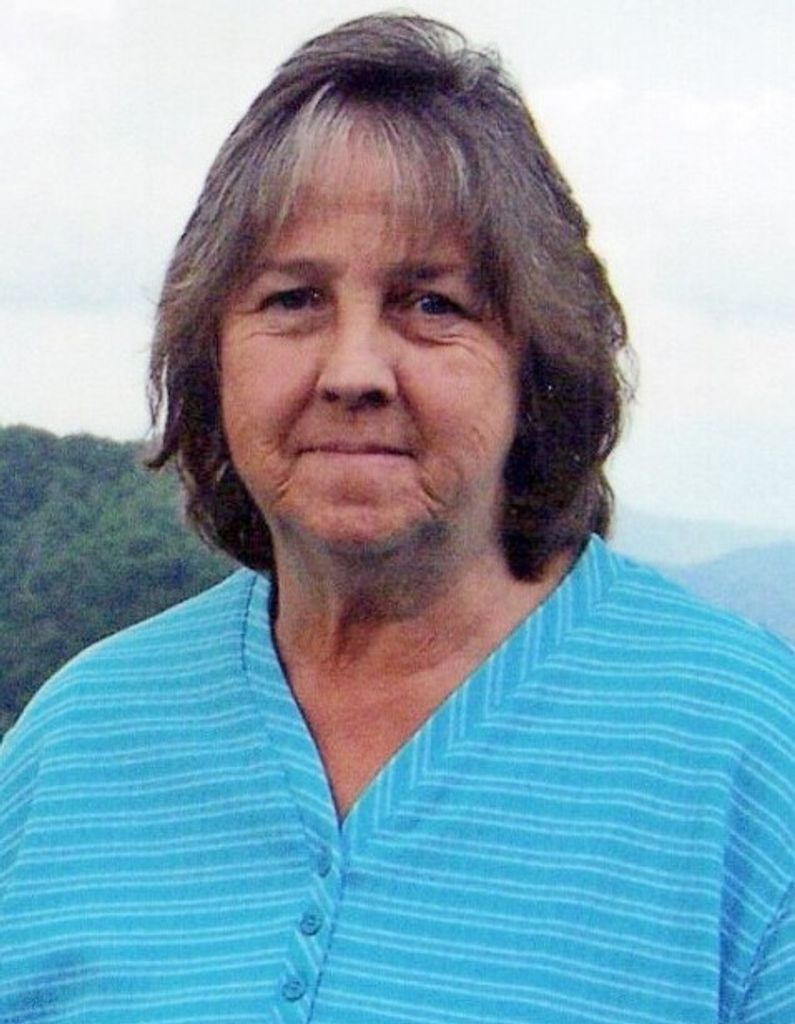 Virgil Louise (Hillis)  Lee