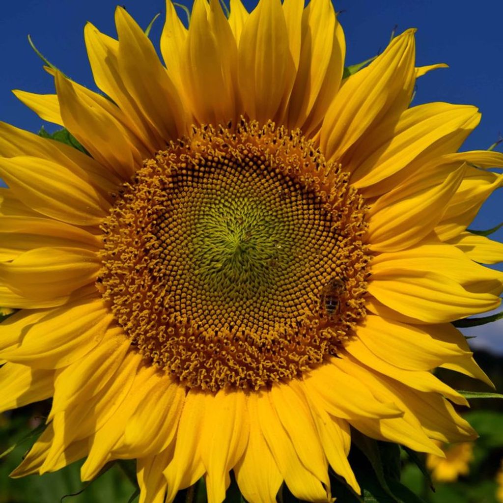 Loretta J. Keller Profile Photo