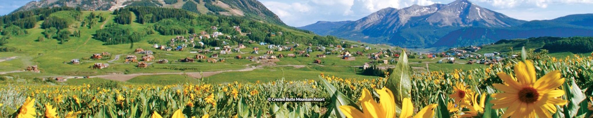 Cover for Virginia Carol Perry's Obituary