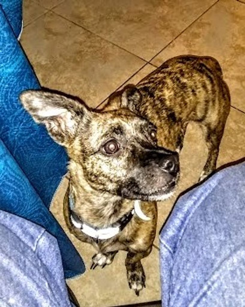 Pumpkin Clemons Profile Photo