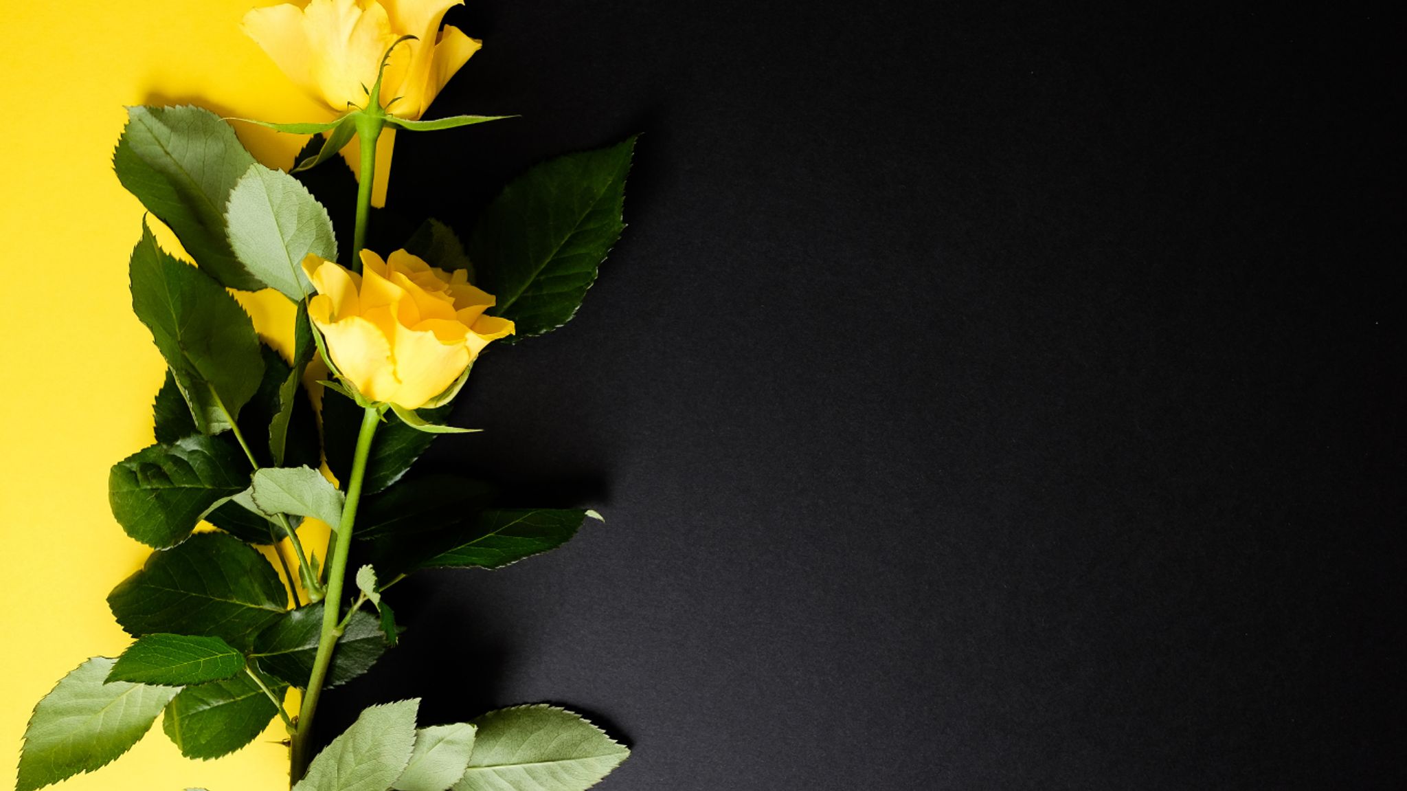 Cover for Arline Hargrow's Obituary